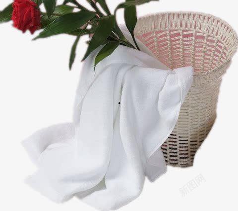 花篮网爆料最新网站下载,最新网站下载背后的秘密与趋势